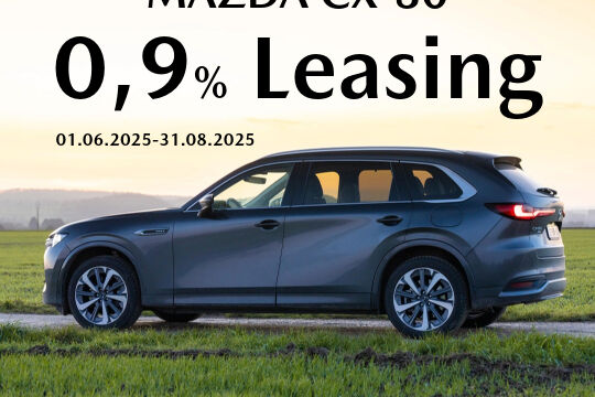 Bern Ost CX-80 0.9 Leasing.jpeg